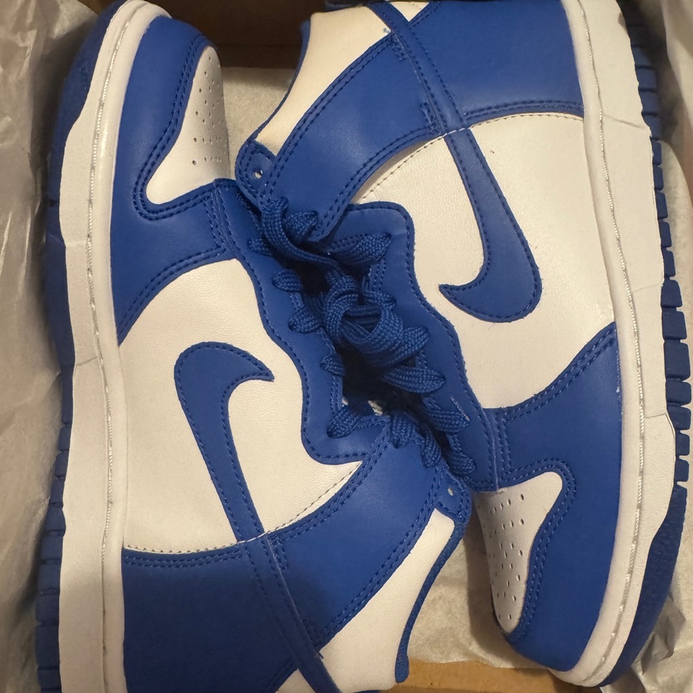 Nike Kentucky Dunks (High)
